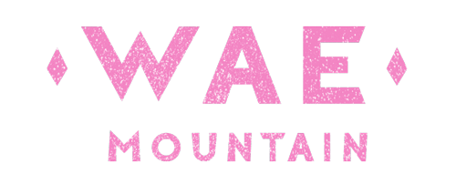 Logo1_wae-horizontal